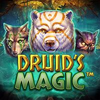 Druidâs Magic
