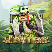 Wild Turkeyâ¢