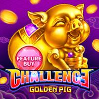 FEATURE BUY - Golden Pig