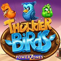 Power Zonesâ¢: Thunder Birds