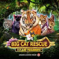 Big Cat Rescue Megawaysâ¢